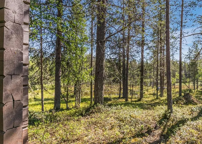 Metsaentupa By Interhome 度假居 萨利色尔卡